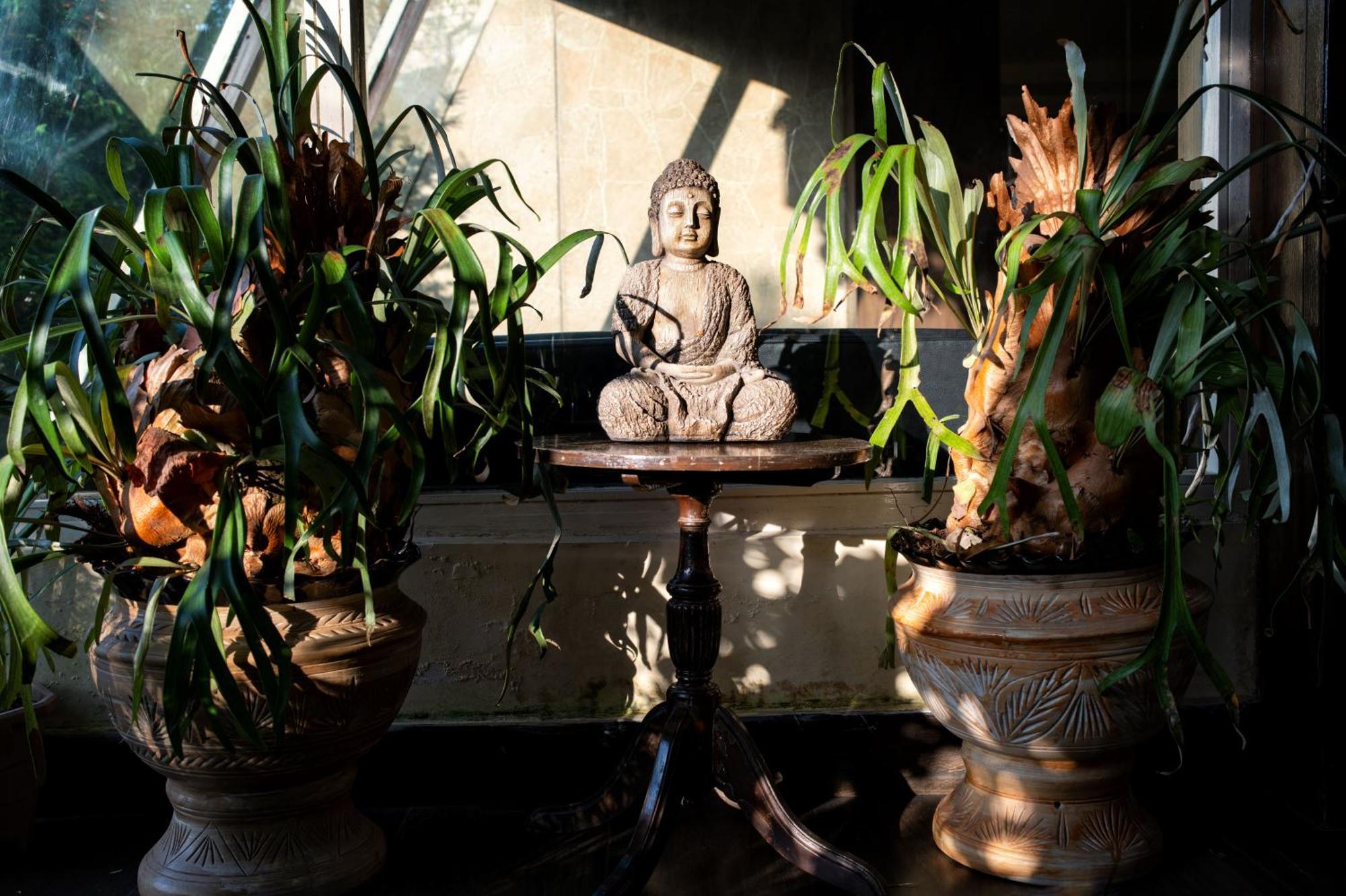 Hotel Viceroy Darjeeling  Extérieur photo
